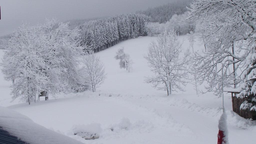 Hotel Le Grand Chalet Foncine-le-Haut Exteriör bild